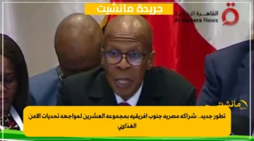 تطور جديد.. شراكة مصرية جنوب أفريقية بمجموعة العشرين لمواجهة تحديات الأمن الغذائي 1